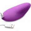 8X Remote Control Panty Vibe - Image 4